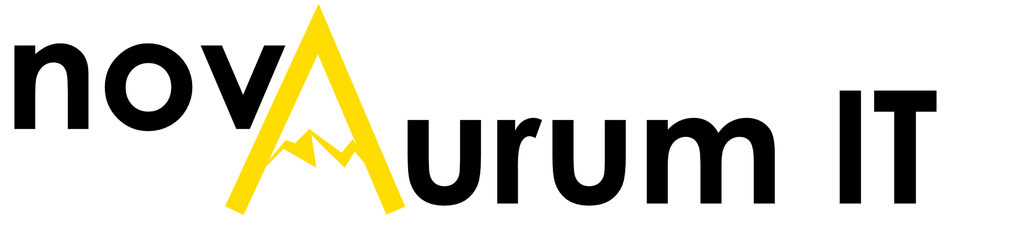 Nova Aurum IT